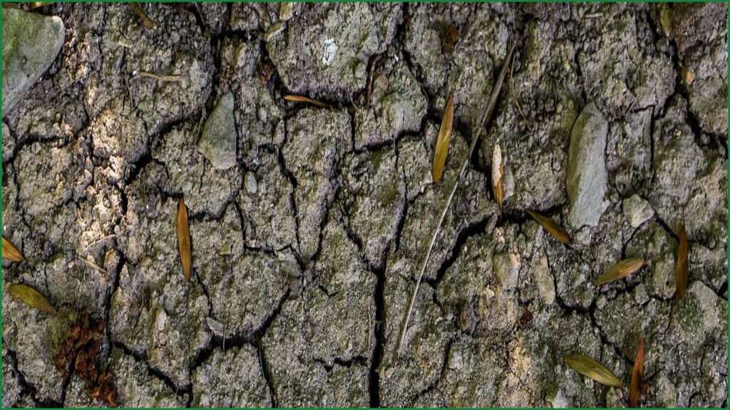 France’s Groundwater Levels Remain Critically Low After Drought