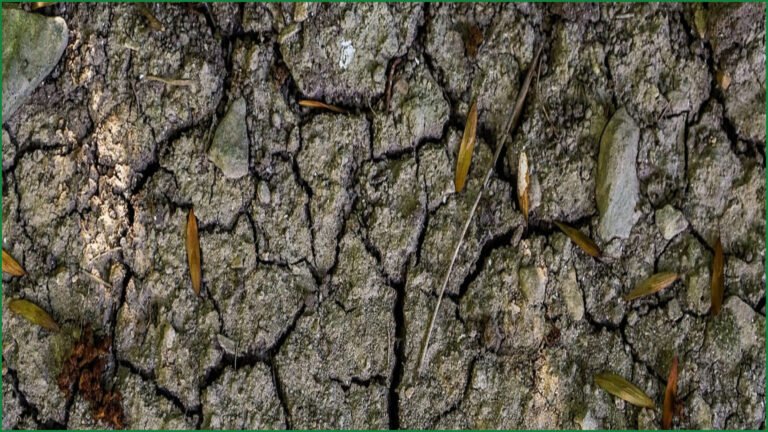 France's Groundwater Levels Remain Critically Low After Drought