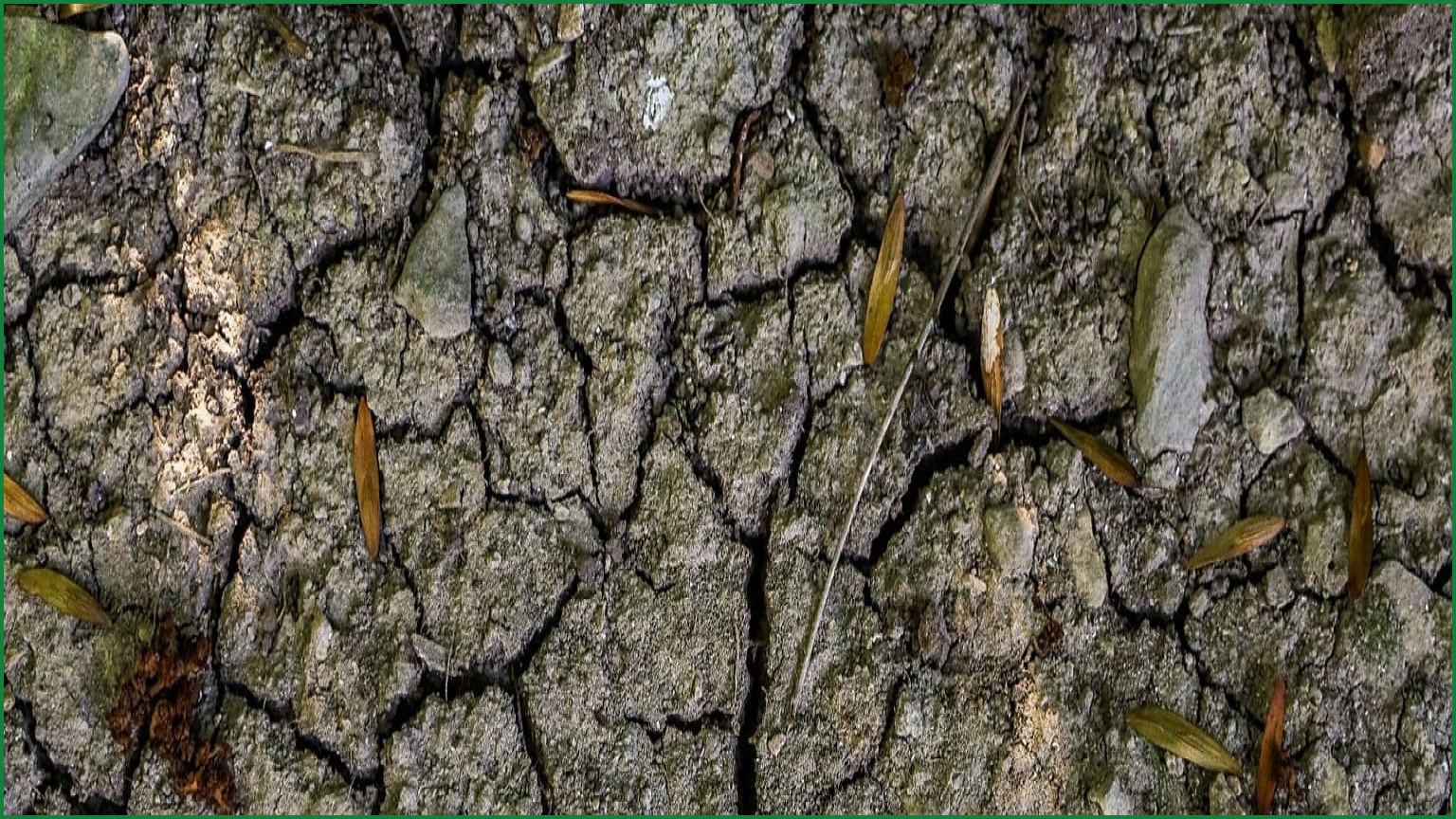 France’s Groundwater Levels Remain Critically Low After Drought