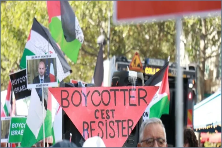 French Court Overturns Ban on Pro-Palestine Rally in Paris
