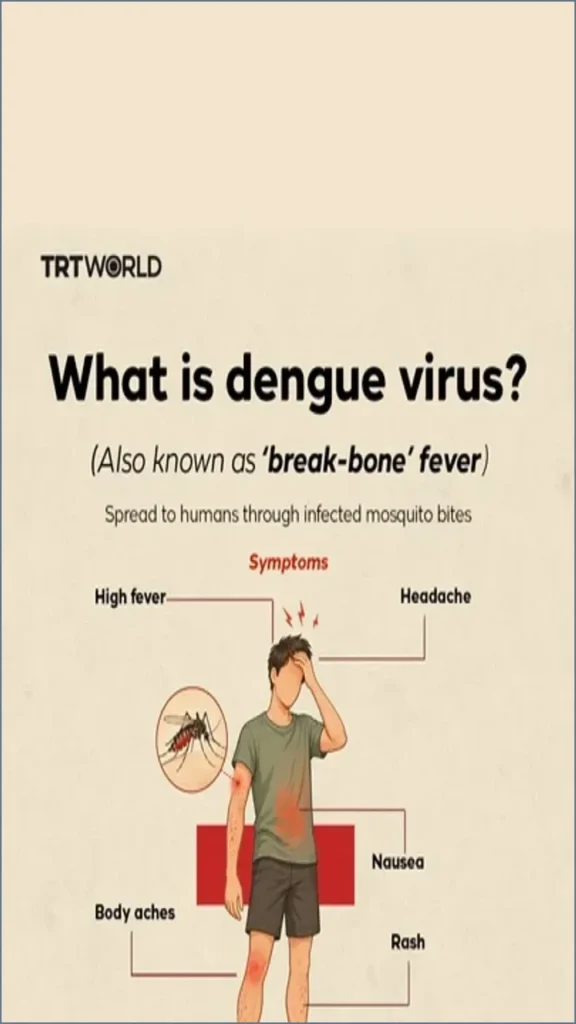 Global Dengue Cases Exceed 2.2 Million in 2026