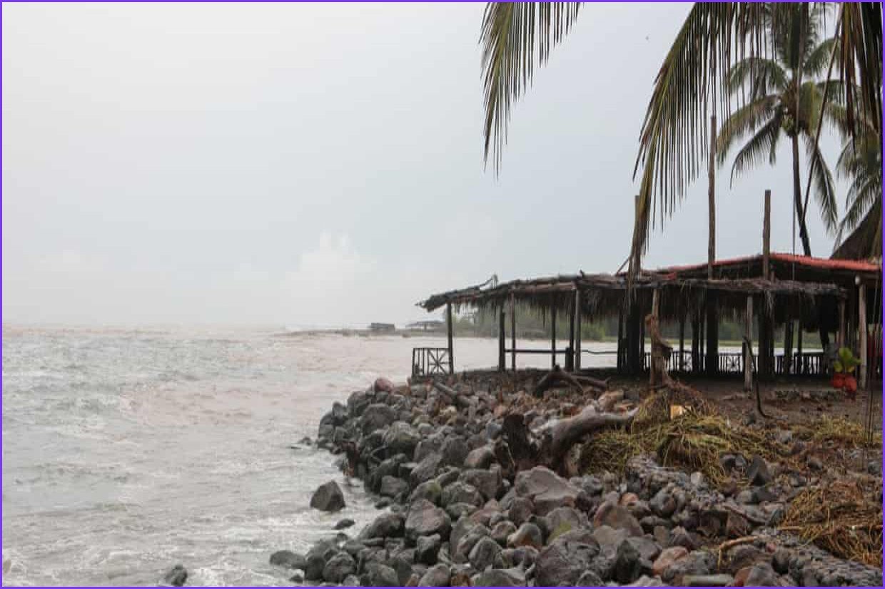 Hurricane Trudy and Typhoon Champi Intensify in Pacific