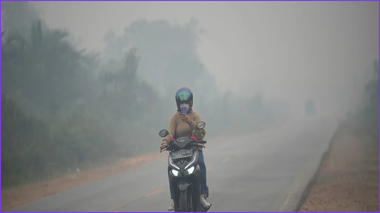 Indonesian Wildfires Threaten Endangered Orangutans in Borneo