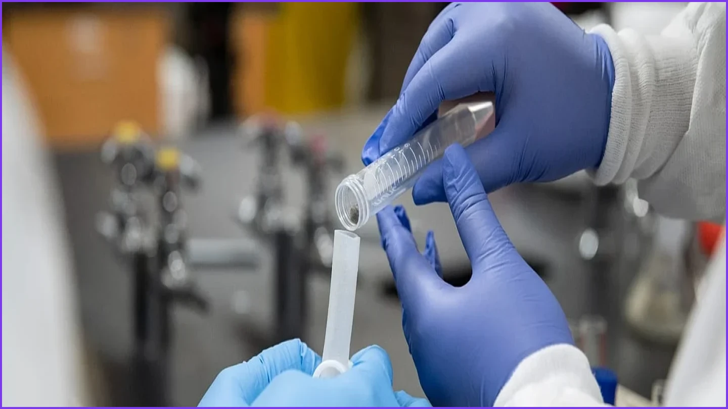 Irkutsk Lab Worker Death Sparks Plague Fears, Quarantine in Siberia