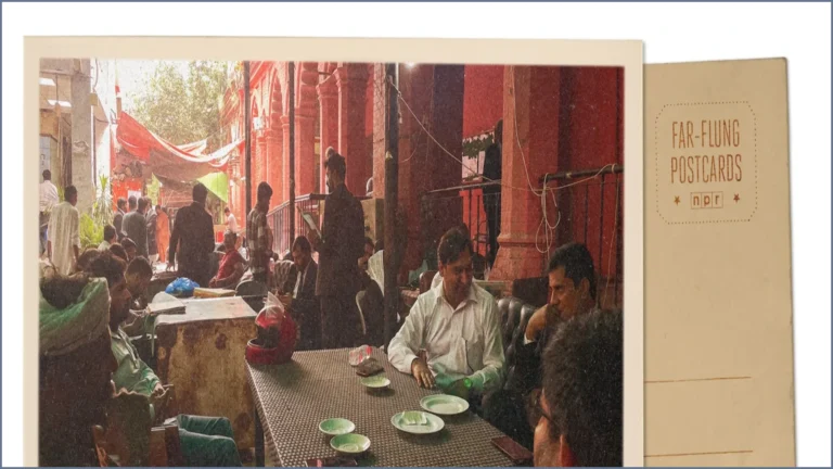 Lahore High Court Offers a Green Oasis for Legal Professionals