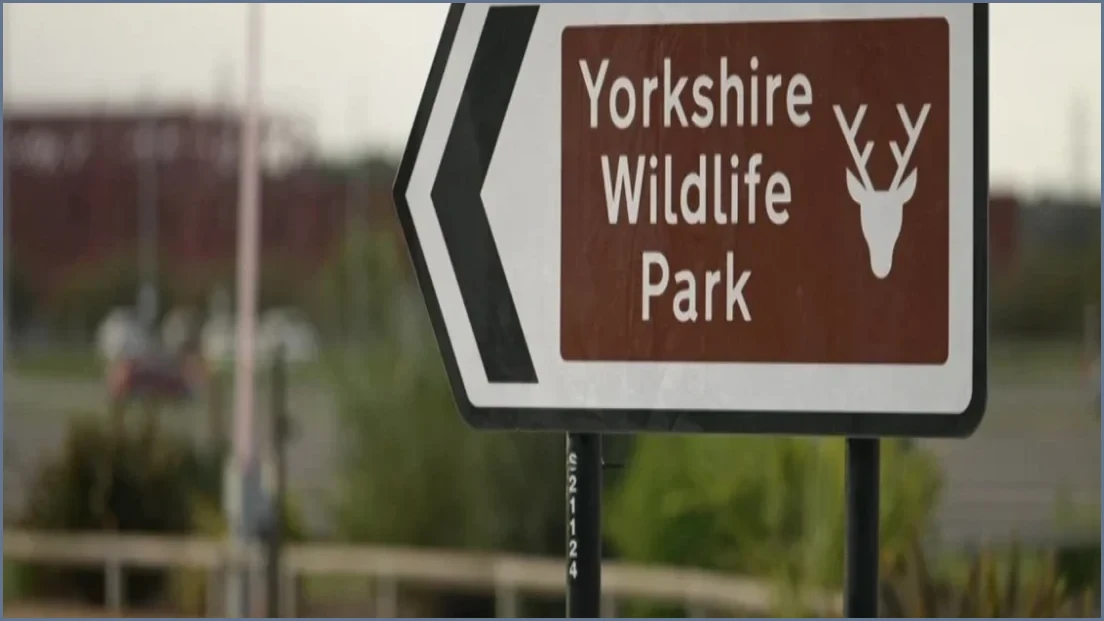 Man Dies Following Tiger Attack at Yorkshire Wildlife Park