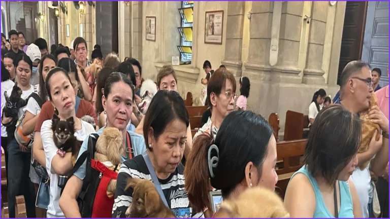 Manila Priests Bless Pets for St. Francis Feast Day