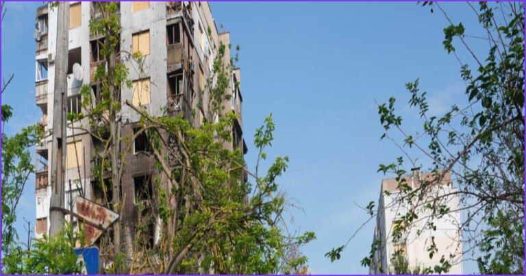 Oleshky Ceasefire Holds as Demining Efforts Enable Humanitarian Aid