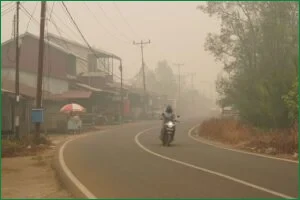 Prabowo Urged to Strengthen Indonesia’s Regional Haze Management
