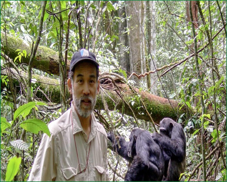 Primatologist Documents First Chimp “Civil War” in Uganda’s Ngogo