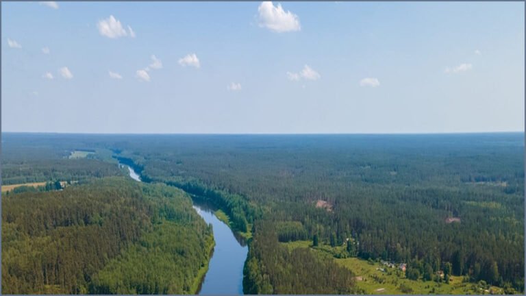 Russian Man Sentenced After Swimming River to Seek Asylum