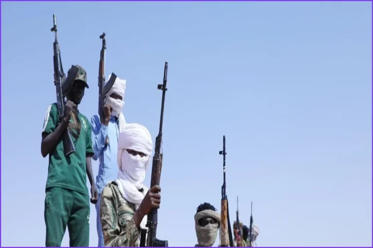 Sudan Doctors Report RSF Executed Over 25 in North Kordofan