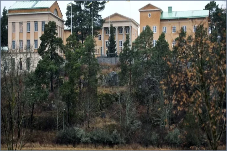 Two Students Remanded Following Hazing at Elite Swedish School