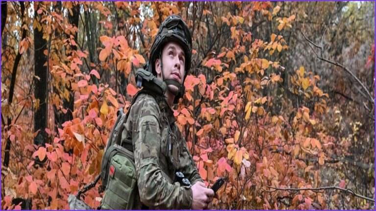 Ukraine's Vivaldi Offensive Liberates Donbas, Faces Starlink Curbs
